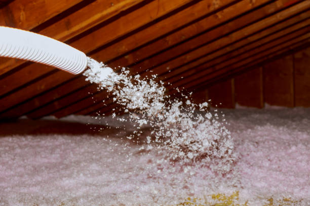 Best Insulation Contractors for Homes  in Denver, PA